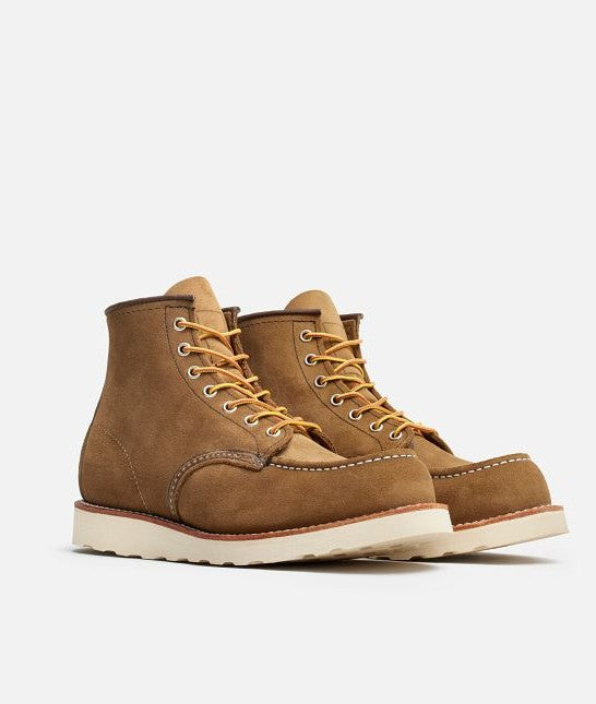 8881OLIVA